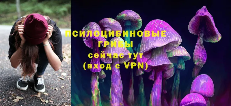 Псилоцибиновые грибы Magic Shrooms  Белозерск 